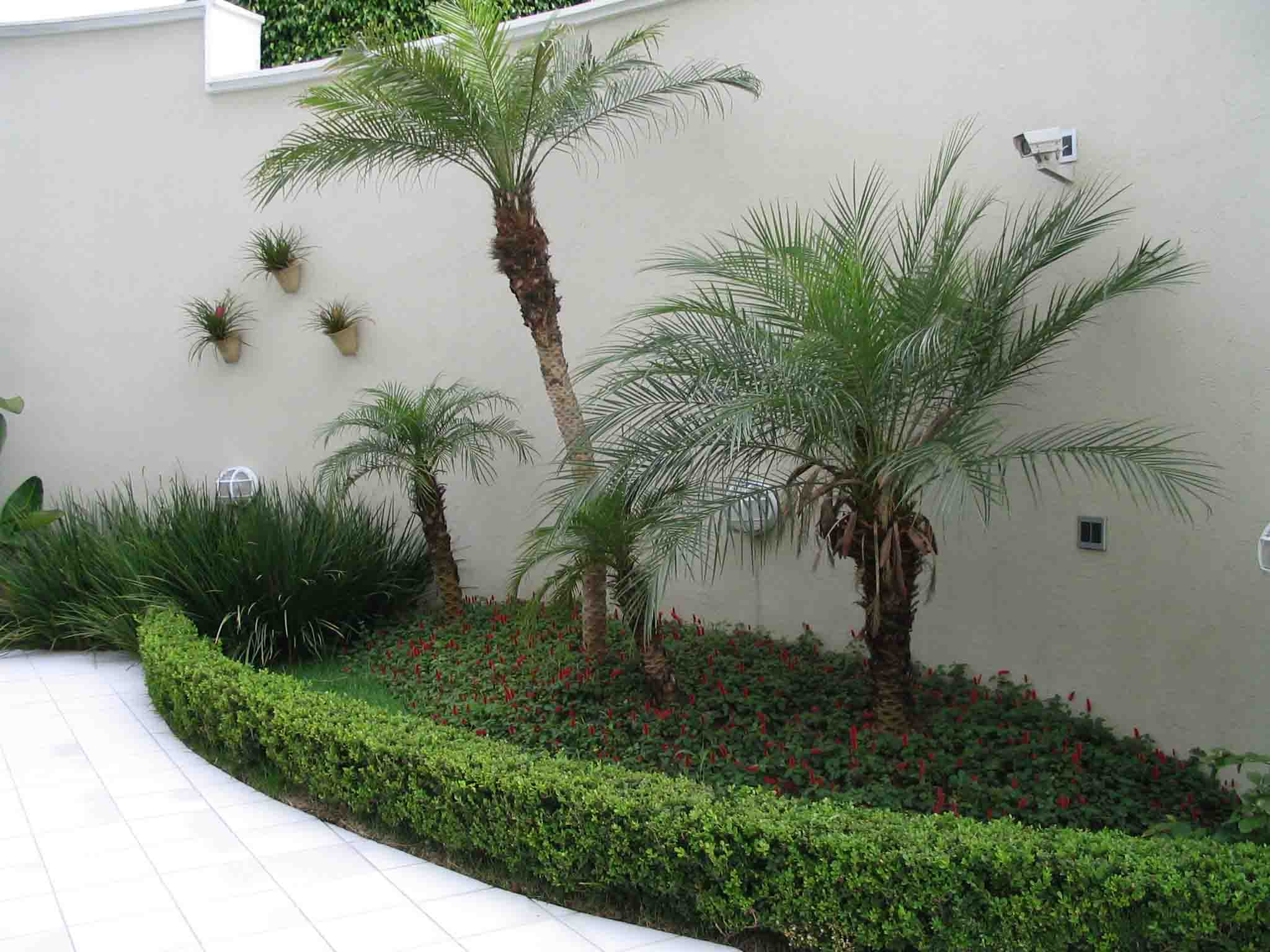 não deixe de ver essas fotos de decoração de jardim pequeno externo não deixe de ver essas fotos de decoração de jardim pequeno externo