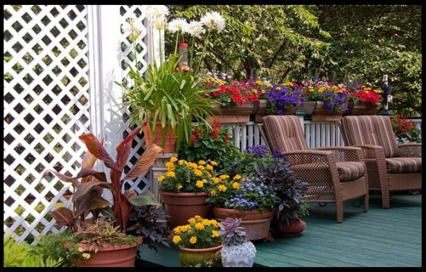 Decoracao De Jardim Pequeno 6 Pictures to pin on Pinterest Decoracao De Jardim Pequeno 6 Pictures to pin on Pinterest