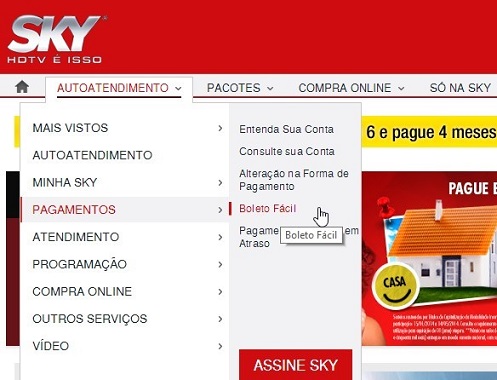 Como Solicitar 2ª Via da Fatura do Boleto Sky: Passo a Passo